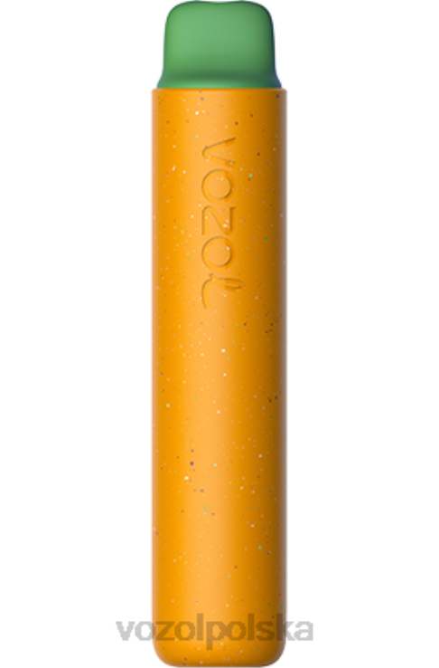 VOZOL STAR 2000 DZFRH156 ptak dżungli VOZOL Vape Buy