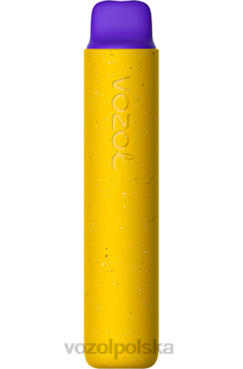 VOZOL STAR 2000 DZFRH159 lód mango VOZOL Vape Amazon