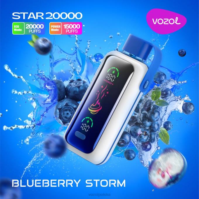 Vozol Vape Store burza jagodowa PDDV5 VOZOL STAR 20000