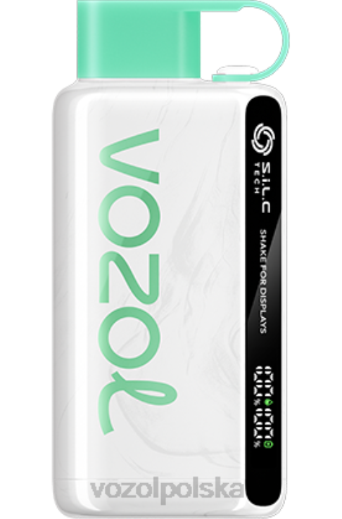 VOZOL STAR 9000/12000 DZFRH23 orzeźwiająca mięta VOZOL Warszawa