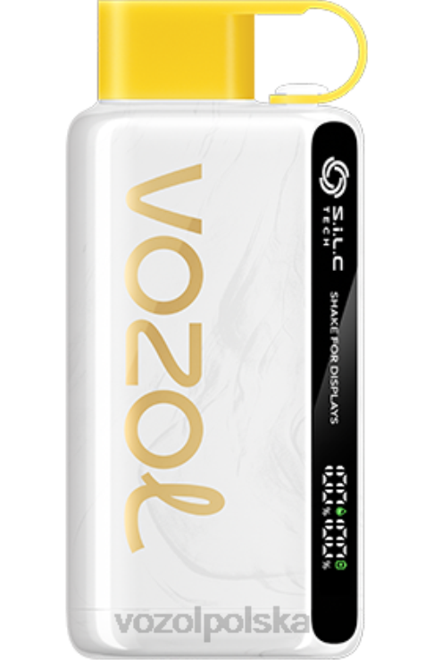 VOZOL STAR 9000/12000 DZFRH25 kiwi, marakuja, gujawa VOZOL Vape Store