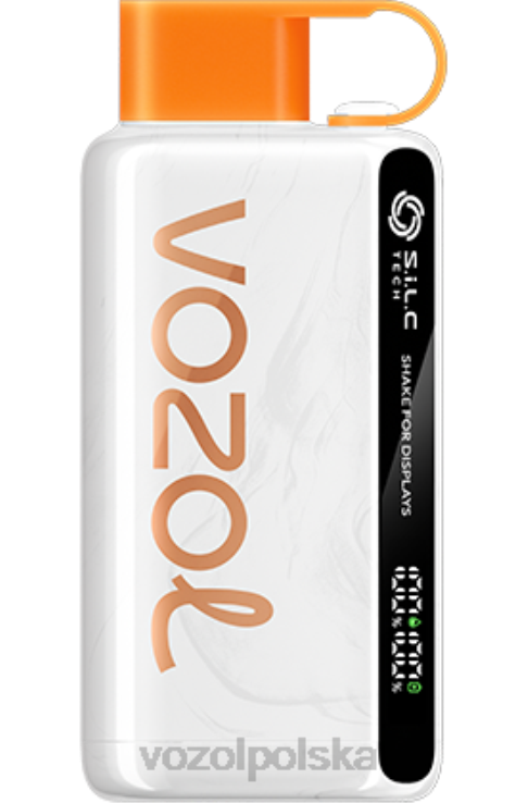 VOZOL STAR 9000/12000 DZFRH28 arbuz brzoskwiniowo-mango VOZOL Vape Sale