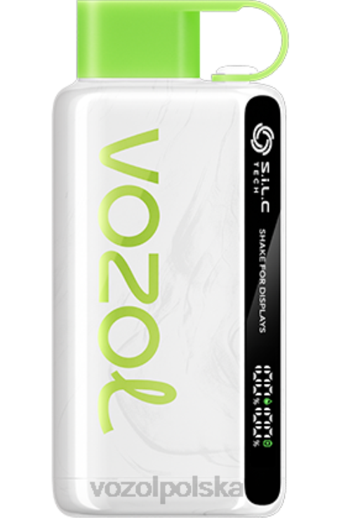 VOZOL STAR 9000/12000 DZFRH31 kiwi truskawkowe VOZOL Vape Polska