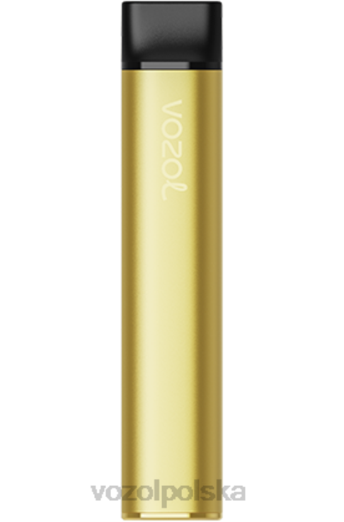 VOZOL SWITCH 600 DZFRH219 lód bananowy VOZOL Vape Amazon