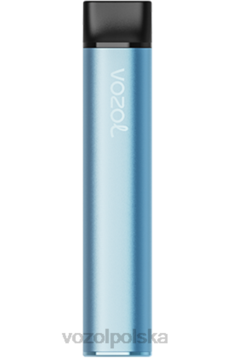 VOZOL SWITCH 600 DZFRH221 niebieski razz VOZOL Vape Polska
