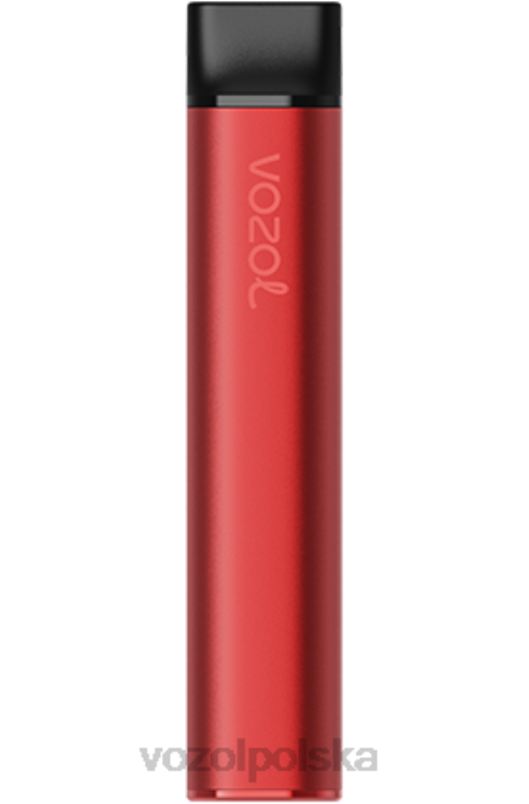 VOZOL SWITCH 600 DZFRH224 lód żurawinowy VOZOL Vape