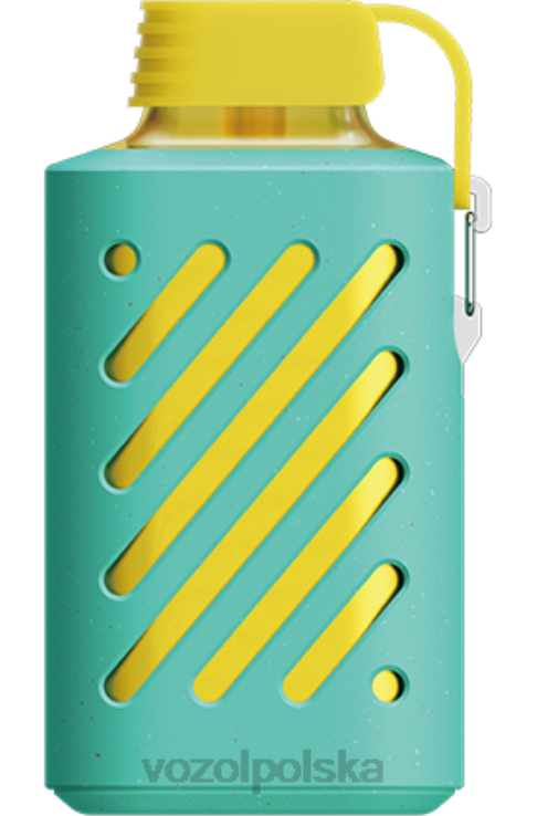 miętowa mięta