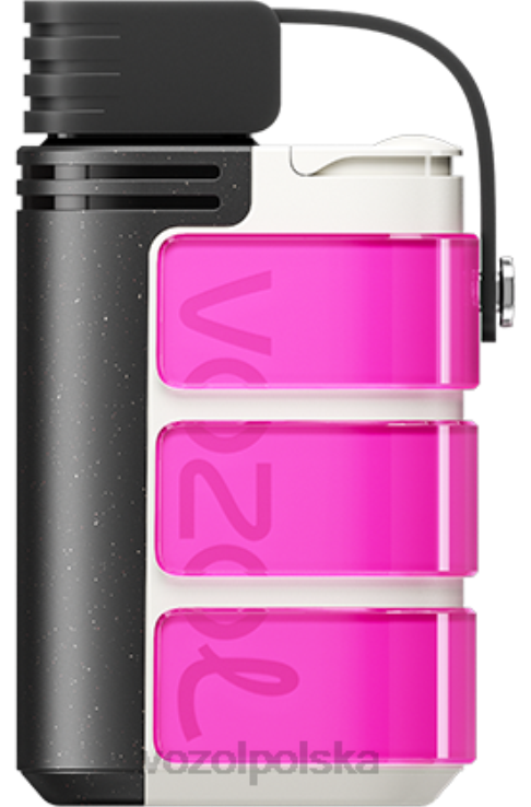 VOZOL GEAR 4000c/6000 DZFRH320 różowa róża VOZOL Vape Review
