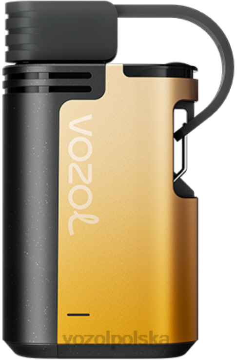 VOZOL GEAR 4000c/6000 DZFRH326 kiwi, marakuja, gujawa VOZOL Vape Buy