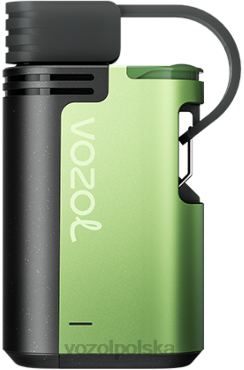 VOZOL GEAR 4000c/6000 DZFRH329 lód arbuzowy VOZOL Vape Amazon