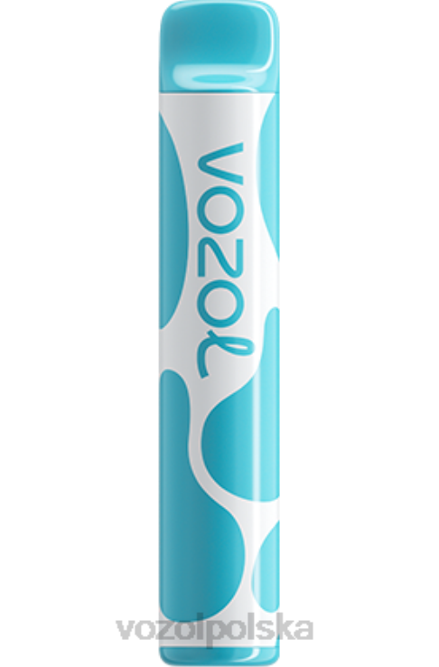 VOZOL JOYGO 600 DZFRH377 jagoda kwaśna malina VOZOL Vape Flavors