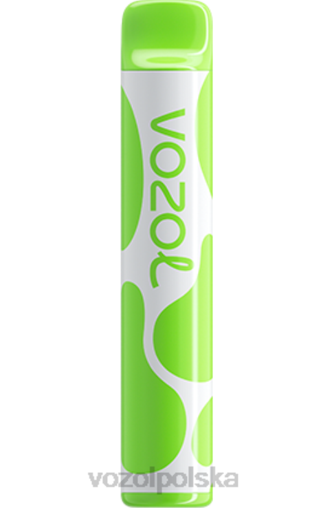 VOZOL JOYGO 600 DZFRH382 kiwi, marakuja, gujawa VOZOL Polska