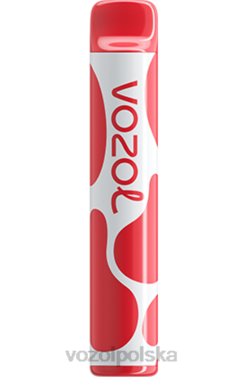 VOZOL JOYGO 600 DZFRH385 arbuz liczi i gujawa VOZOL Vape Store