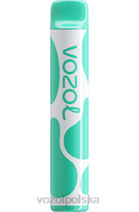 VOZOL JOYGO 600 DZFRH387 mentol VOZOL Vape Flavors