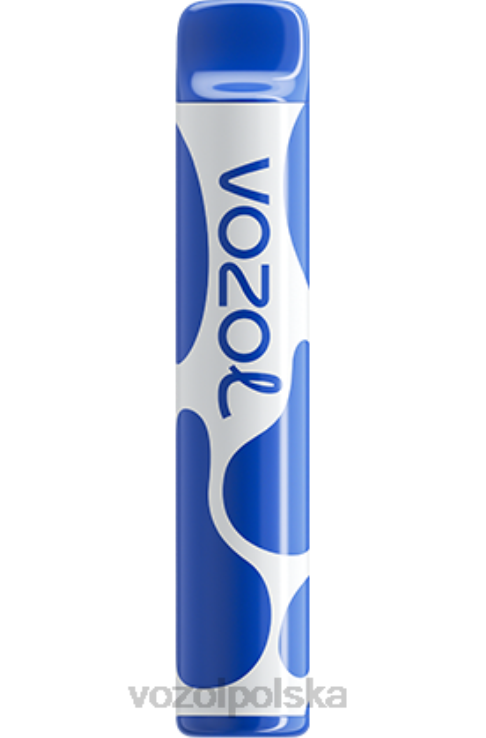 VOZOL JOYGO 600 DZFRH390 burza jagodowa VOZOL Vape Review