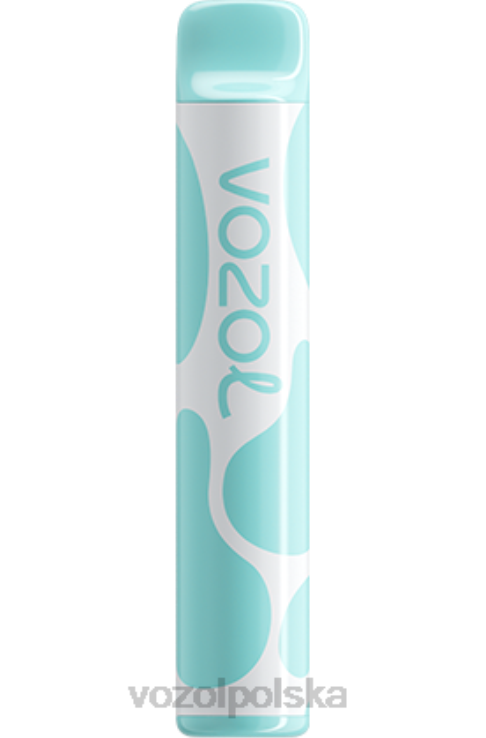 VOZOL JOYGO 600 DZFRH391 tęczowy cukierek VOZOL Vape Polska