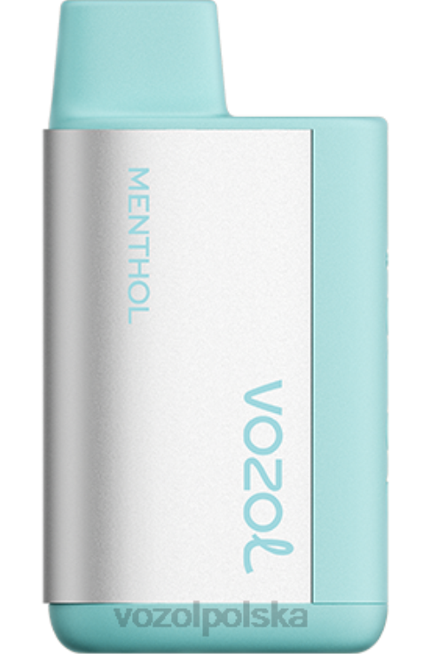 VOZOL TIGO 600 DZFRH369 mentol VOZOL Vape Amazon