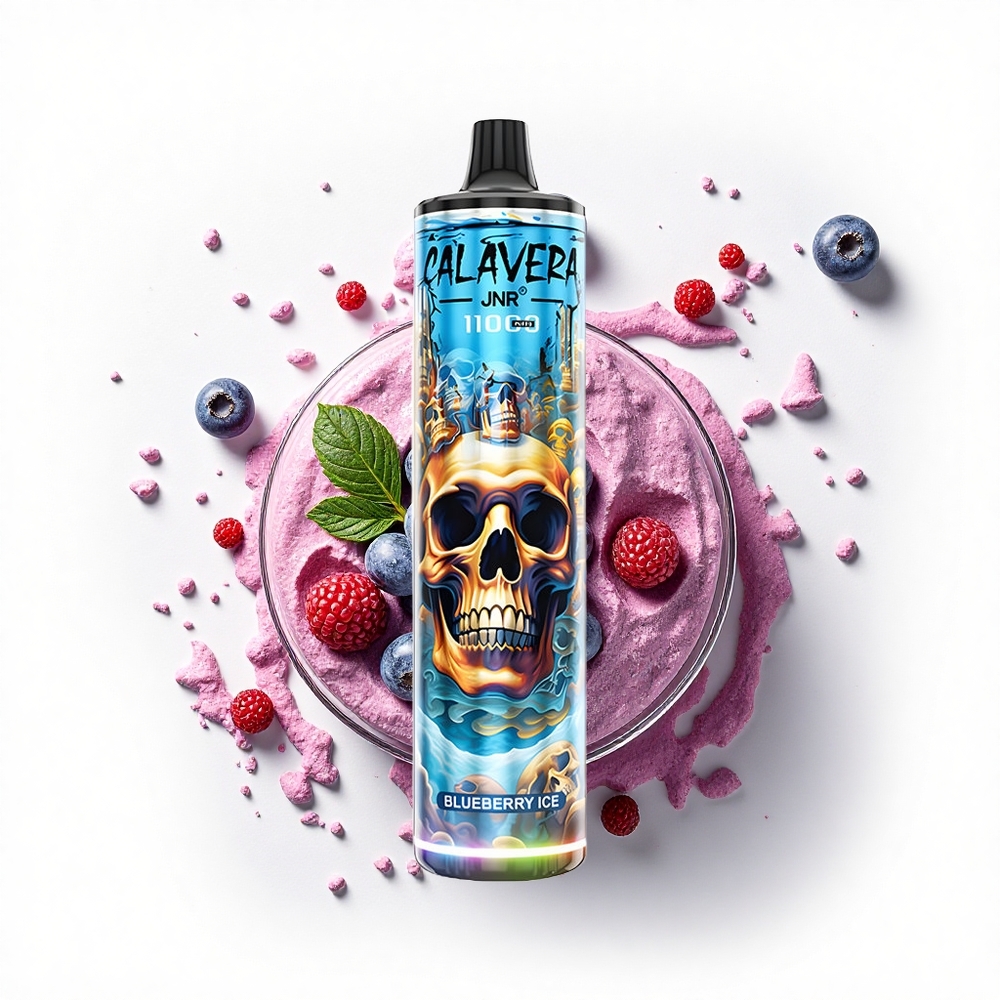 JNR Calavera 11000 Lodowaty Borówka z Typem-C i 21ml