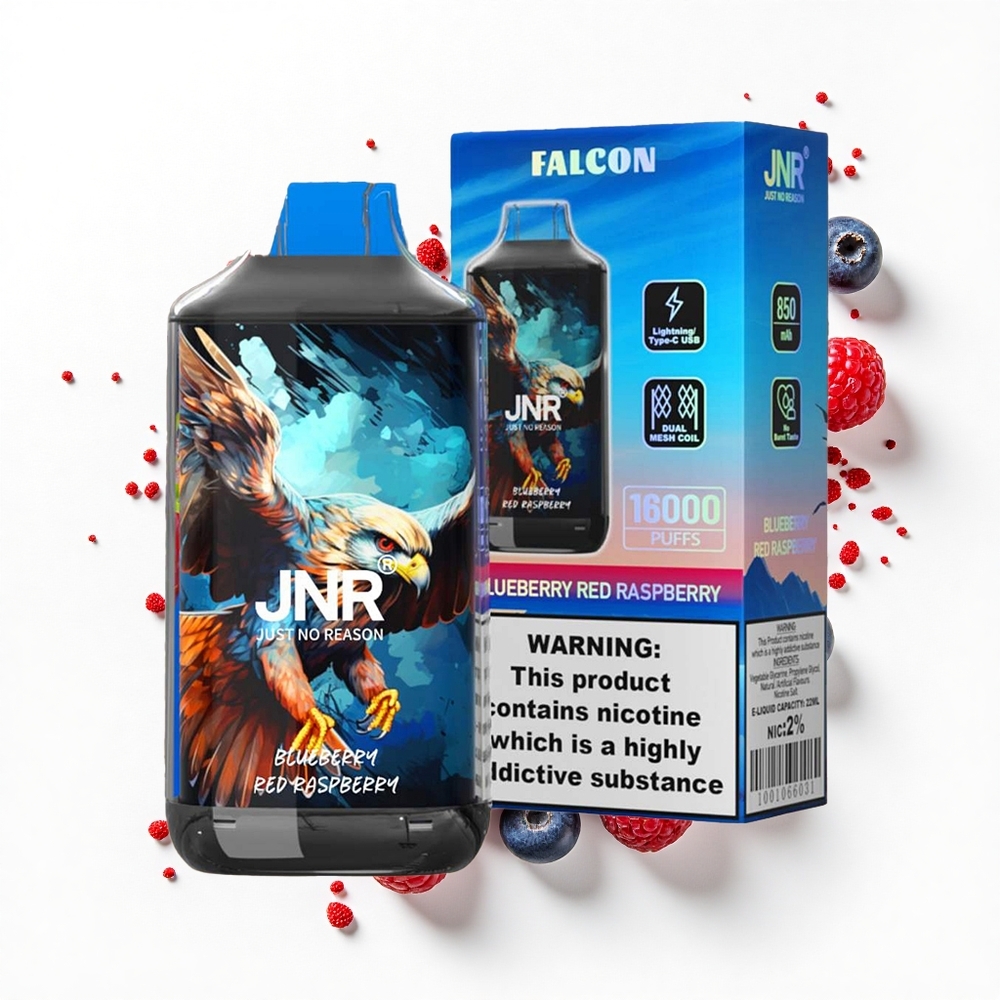 JNR Falcon 16000 Borówka Czerwona Malina 850mAh Dual Mesh Type C