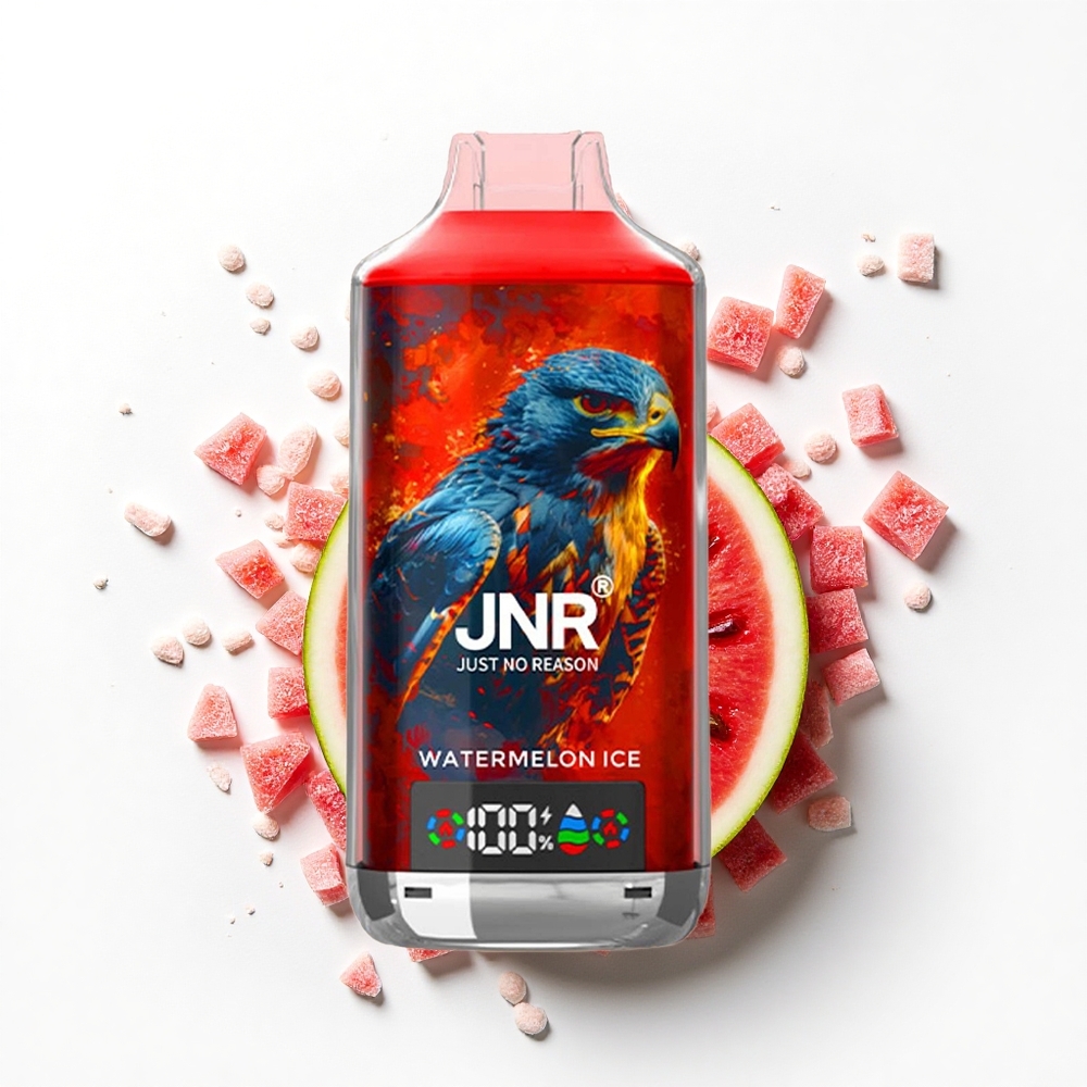 JNR Falcon X 18000 Arbuzowy Lód Dual Mesh 24ml