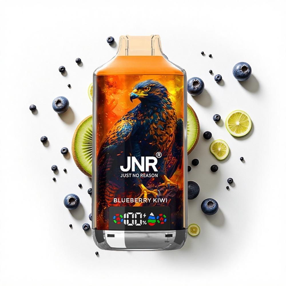 JNR Falcon X 18000 Borówka Kiwi Dual Mesh 24ml Type-C