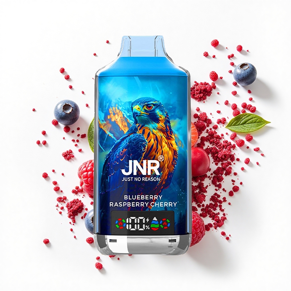 JNR Falcon X 18000 Borówka Malina Wiśnia 24ml Dual Mesh