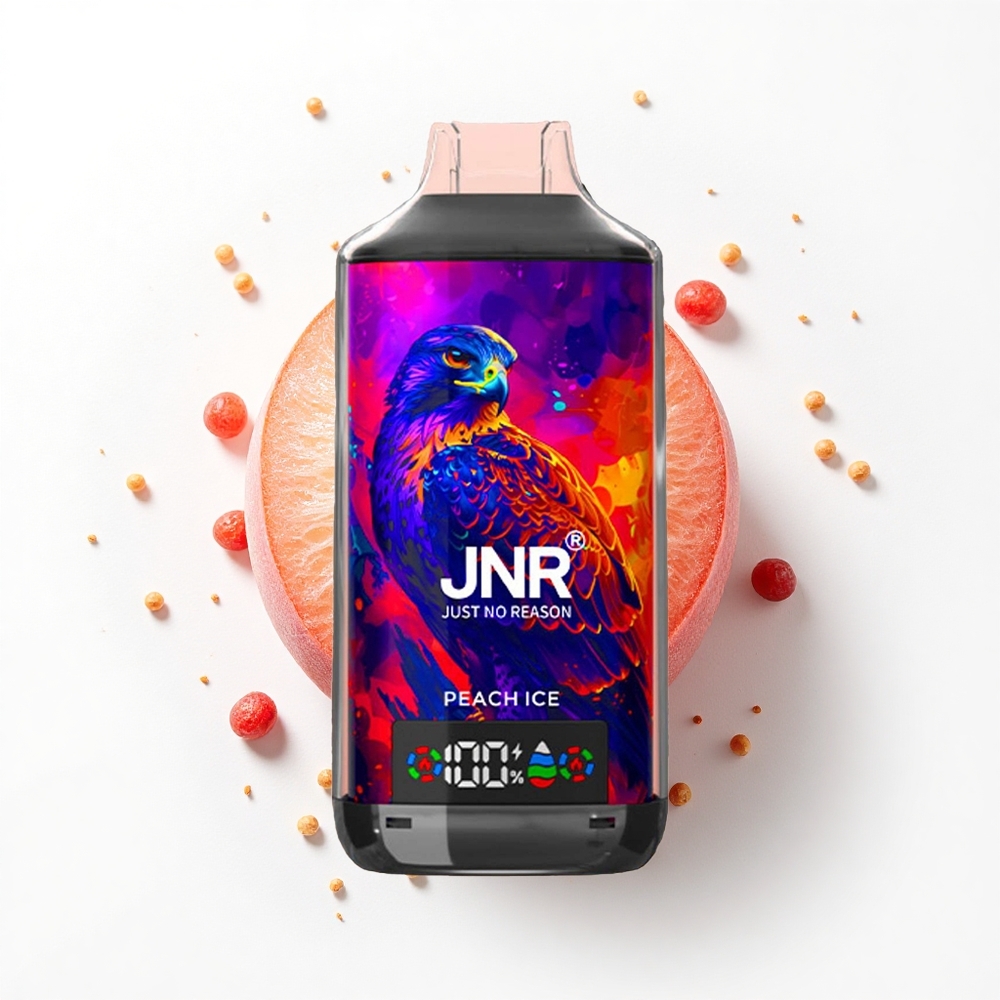 JNR Falcon X 18000 Brzoskwinkowy Lód Dual Mesh 24ml