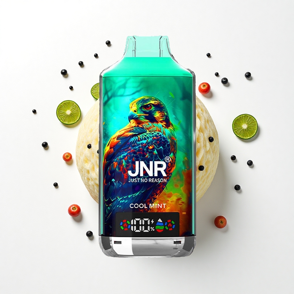JNR Falcon X 18000 Miętowa Chłodu Dual Mesh 24ml