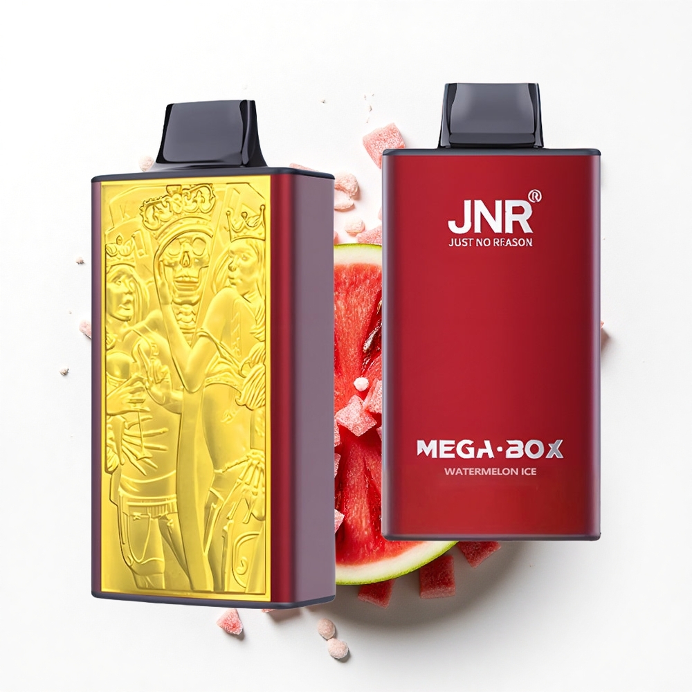 JNR Mega Box 25000 Arbuzowy Lód Dual Mesh 30ml