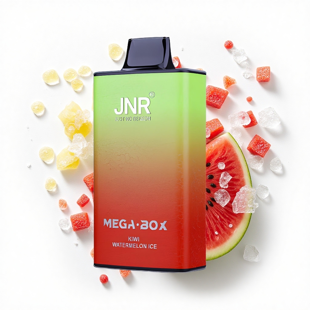 JNR Mega Box 25000 Kiwi Arbuzowy Lód z Podwójnym Rdzeniem i Typem-C