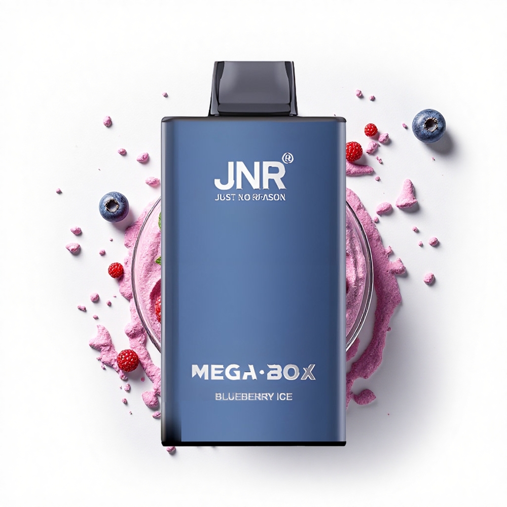 JNR Mega Box 25000 Lodowy Borówka z Podwójnym Rdzeniem i Typem-C