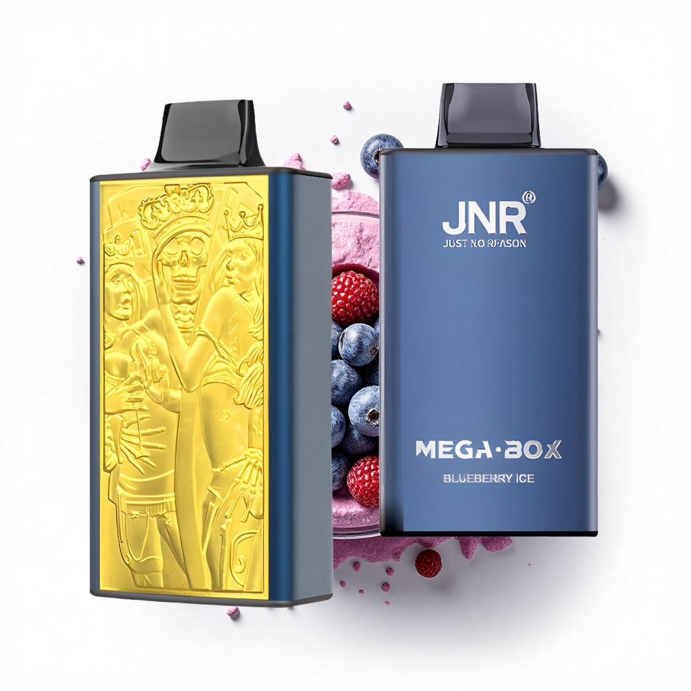 JNR Mega Box 25000 Lodowy Borówka z Podwójnym Rdzeniem i Typem-C