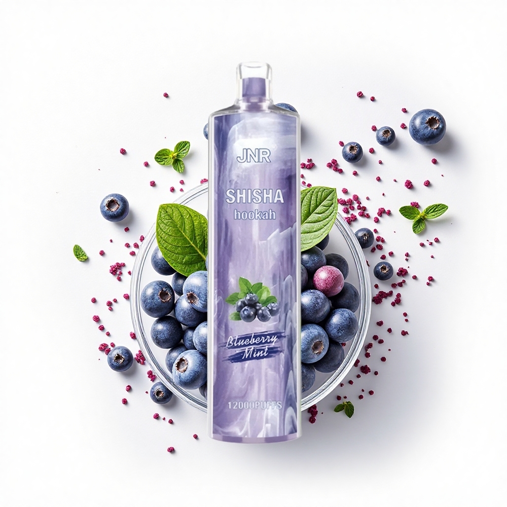 JNR Shisha Hookah 12000 Borówkowo-Miętowy 24ml 0.6 Ohm