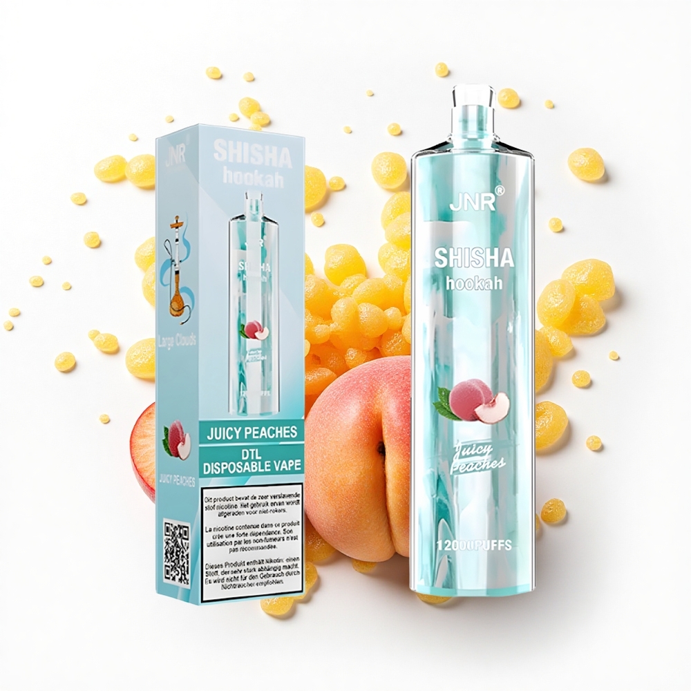 JNR Shisha Hookah 12000 Soczyste Brzoskwinie 750mAh Typ-C