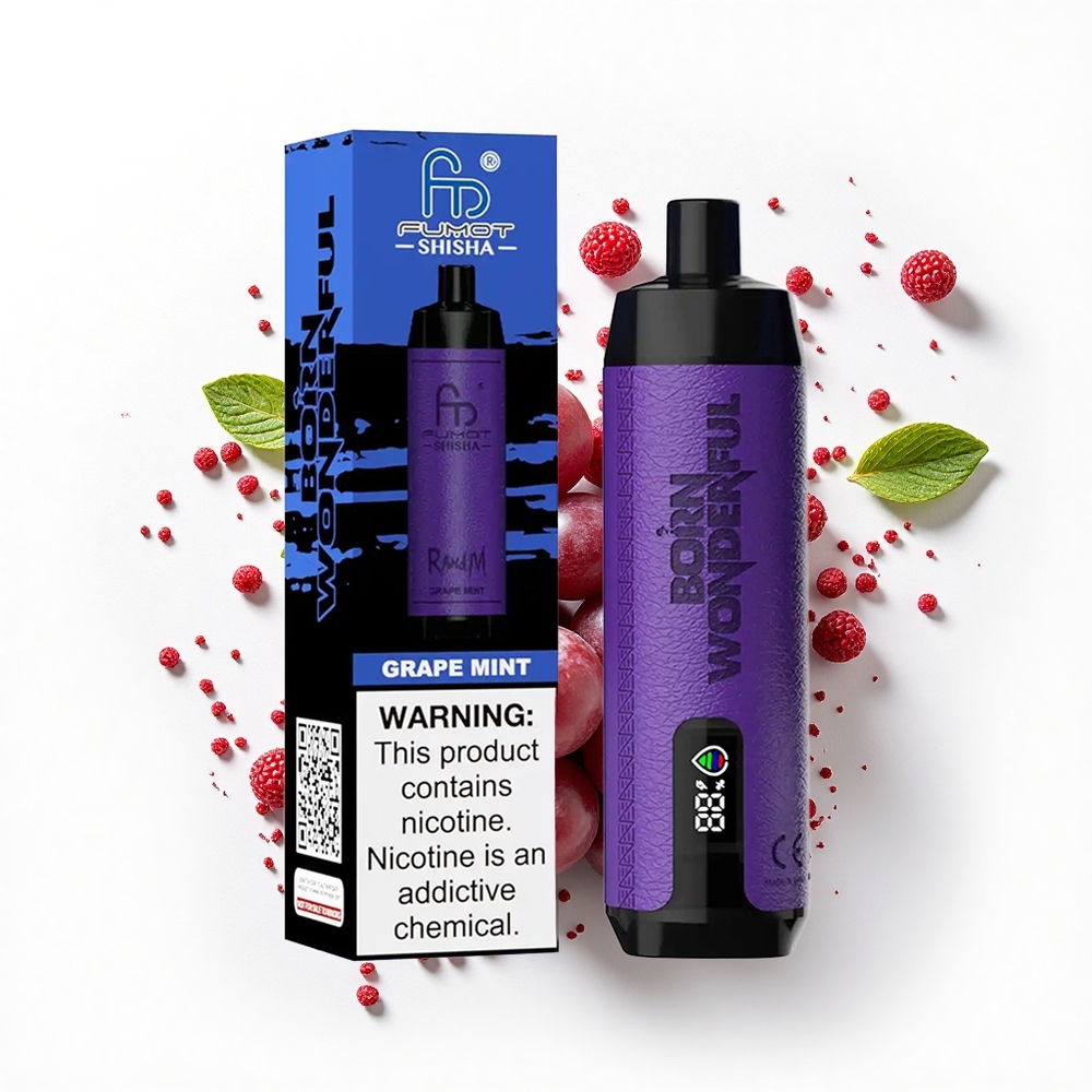 RandM Fumot Shisha 10000 Puffs Winogrono Mięta Typ-C 0.6ohm 18ml